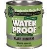   : Benjamin Moore Acrylic Elastomeric Waterproof Coating Flat    18 9  
