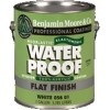   : Benjamin Moore Acrylic Elastomeric Waterproof Coating Flat     18.9.  .