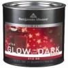   : Benjamin Moore Glow In The Dark FX Finish       0 946  