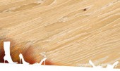   :   Baltic wood -  Classic Ancient White