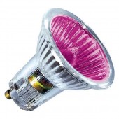   :   BLV Popline Magenta 50W 35° 220V GU10  (104251)