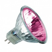   :   BLV Popstar Magenta 50W 12° 12V GU5,3 