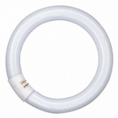   :    Osram L 32 W/840 C T9 G10q, 305mm