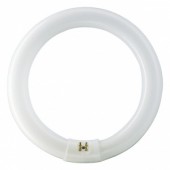   :    Philips TL-E Circular 32W/54-765 T9 G10q, 305mm